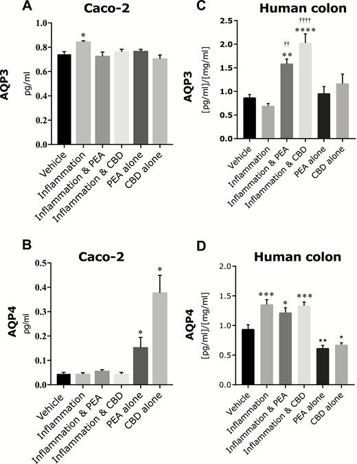 The effects of PEA and CBD on levels of membrane-bound AQP3 in Caco-2 cultures (A) and human colonic mucosa (C) and AQP4 in Caco-2 cultures (B) and human colonic mucosa (D) in response to an inflammatory protocol measured by ELISA. Raw data are expressed as mean protein levels per group ± SEM. N = 6–8 per condition. Data were analyzed by 1-way ANOVA comapring agianst vehicle (* P < 0.05, ** P < 0.01, ***P < 0.001, **** P < 0.0001) or inflammation (†† P < 0.05, ††††P < 0.0001).