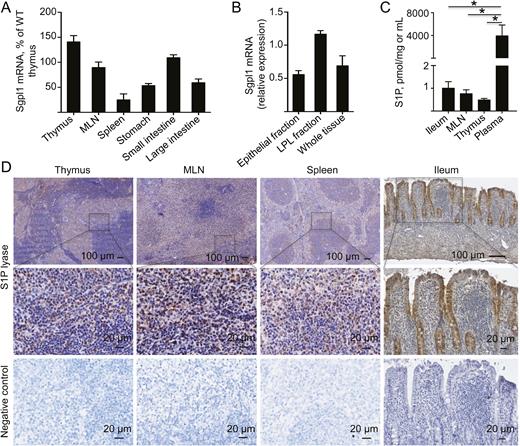 Tissue and cellular distribution of S1P lyase in mice with chronic ileitis. A, SPL mRNA transcripts (Sgpl1) were assessed by real-time RTPCR in indicated tissues of 10-week-old TNFΔARE mice with established ileitis. B, SPL mRNA expression in epithelial cells, lamina propria leukocyte (LPL) fractions, and whole ileal tissue relative to GAPDH. C, Tissue and plasma S1P levels were measured using the LC-MS platform. D, Localization of the SPL protein in indicated tissues was assessed by immunohistochemistry (representative images). Data are expressed as mean ± SEM, n ≥ 4 mice/group (*P < 0.05).