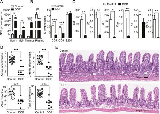 S1P lyase inhibition increased tissue S1P levels, obliterated its gradient, induced lymphopenia, downregulated proinflammatory cytokines in the intestine, and ameliorated chronic ileitis. A, Tissue and plasma S1P levels in TNFΔARE mice treated with DOP or vehicle were measured using the LC-MS platform. B, Percentage of indicated lymphocyte subsets in the peripheral blood of TNFΔARE mice treated with DOP or vehicle for 2 weeks. C, mRNA transcripts of indicated proinflammatory cytokines relative to GAPDH in the ileum of 12-week-old TNFΔARE mice treated with DOP or vehicle control. D, Semiquantitative histopathological assessment of the effects of DOP treatment and vehicle on the severity of ileitis in TNFΔARE mice: active, chronic inflammation, villus distortion, and total inflammatory indices, respectively, as read by a gastrointestinal pathologist in a blinded fashion. Data are expressed as mean ± SEM; n ≥ 9 mice/group (***P < 0.001; **P < 0.01; *P < 0.05 by 2-tailed t test). E, Representative micrographs of the effects of DOP on intestinal architecture and inflammatory infiltrate (hematoxylin and eosin, 10× magnification).