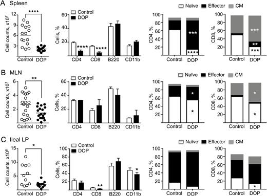 Effects of DOP on cell subsets within immune compartments. Cell counts and subset flow cytometry analyses of (A) spleen, (B) MLNs, and (C) ileal LP of TNFΔARE mice treated with DOP or vehicle control for 2 weeks. Data are from 3 independent experiments, expressed as mean ± SEM; n ≥ 10 mice/group (*P < 0.05; **P < 0.01; ***P < 0.001; ****P < 0.0001 by 2-tailed t test).