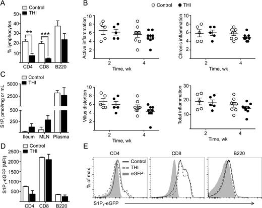 THI treatment induced peripheral lymphopenia but did not ameliorate ileitis. A, Percentage of indicated lymphocytes in peripheral blood of TNFΔARE mice treated with THI or vehicle control. B, Histopathological analyses of TNFΔARE ileum from mice treated with THI or vehicle. Graphs indicate active (neutrophilic) inflammation, chronic (lymphocyte, monocytes) inflammation, villus distortion, and the total inflammatory indexes, respectively, as previously described.26 C, Tissue and plasma S1P levels in TNFΔARE mice treated with THI or vehicle, as measured using LC-MS platforms. D, E, Bar graph and histograms represent S1PR1 expression (median fluorescence intensity) of indicated cell subsets from blood of TNFΔARE mice treated with THI or vehicle control. Data are expressed as mean ± SEM; n ≥ 5 mice/group (**P < 0.01, ***P < 0.001 by 2-tailed t test).