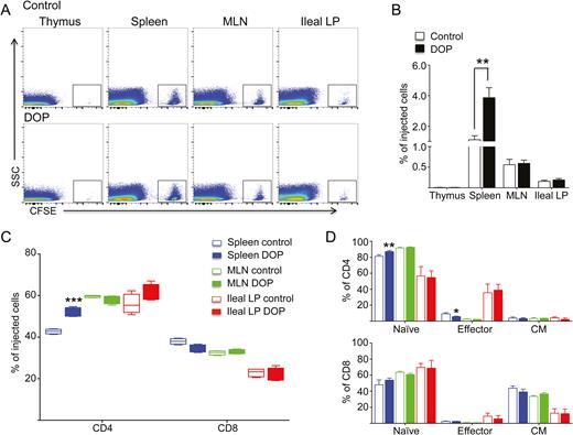 S1P lyase inhibition did not alter de novo T-cell recruitment to the intestine. A, B, Effect of DOP on the frequency of total CFSE-labeled T cells migrating to the thymus, spleen, MLNs, and ileal LP of recipient TNFΔARE mice. C, Effect of DOP on the frequency of CFSE-labeled CD4+ and CD8+ T cells migrating to the spleen, MLNs, and ileal LP. D, Analyses of naïve, effector, and central memory subsets within the CD4 and CD8+ T cells migrating to indicated sites. Data are from 3 independent experiments expressed as mean ± SEM; n ≥ 10 mice/group (*P < 0.05, **P < 0.01, ***P < 0.001 by 2-tailed t test).