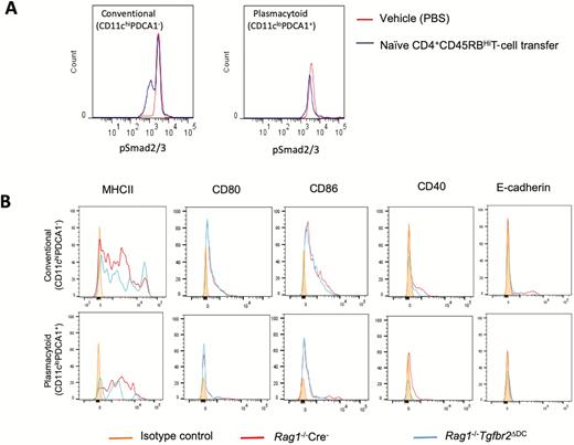 A, TGFβ signaling in DCs is reduced in T-cell-mediated colitis. CD4+ CD45RBhi-naïve T cells were adoptively transferred into Rag1-/- mice to induce colitis. PBS-injected mice served as the control group. At the end of the experiment, mice were killed, and single cells from the colonic lamina propria were subjected to flow cytometry to evaluate pSmad2/3 expression in conventional (CD11chi PDCA1-) and plasmacytoid DCs (CD11clo PDCA1+). Histograms show decreases in pSmad2/3 expression in conventional but not plasmacytoid DCs. B, Dendritic cells from Rag-/-Cre+Tgfbr2ΔDC mice are not activated at steady state. Surface expression of MHCII, CD80, CD86, CD40, and E-cadherin on the conventional and plasmacytoid DCs from MLNs of Rag1-/- Cre- and Rag1-/-Tgfbr2ΔDC mice. Three to 4 mice from each genotype were pooled to get a sufficient number of cells. The histograms are representative of 2 independent experiments.
