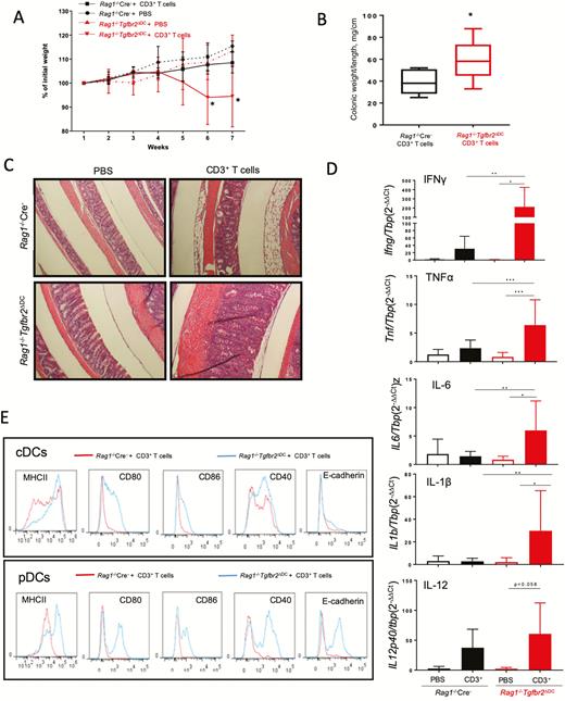 Adoptive transfer of CD3+ T cells is sufficient to induce colitis in Rag1-/-Tgfbr2ΔDC mice. Rag1-/- Cre- and Rag1-/-Tgfbr2ΔDC mice were injected i.p. with 106 CD3+ splenocytes per mouse and monitored for 7 weeks for weight loss. PBS-injected mice served as controls. A, Weight loss curve in Rag1-/-Tgfbr2ΔDC mice as compared with Rag1-/- Cre- mice after CD3+ T-cell transfer (n = 8–10 mice per genotype; *P < 0.05 between adoptively transferred Rag1-/-Tgfbr2ΔDC mice and other groups). B, Colonic weight-to-length ratio (mg/cm) in T-cell-transferred mice (*P < 0.05, unpaired 2-tailed t test). C, Representative H&E-stained colons from mice from the 4 experimental groups. D, Expression of mucosal cytokines evaluated by qPCR, analyzed by the 2-∆∆CT method against a TBP housekeeping gene. One-way ANOVA with Bonferroni multiple comparison test was applied. *P < 0.05; **P < 0.005, ***P < 0.0005 for post hoc test. E, Activation status of dendritic cells from mice after adoptive transfer, as evaluated by flow cytometry. Representative histograms show surface expression of activation markers: MHCII, CD80, CD86, CD40, and E-cadherin on conventional (CD11chiPDCA1-) and plasmacytoid (CD11clo PDCA1+) DCs.