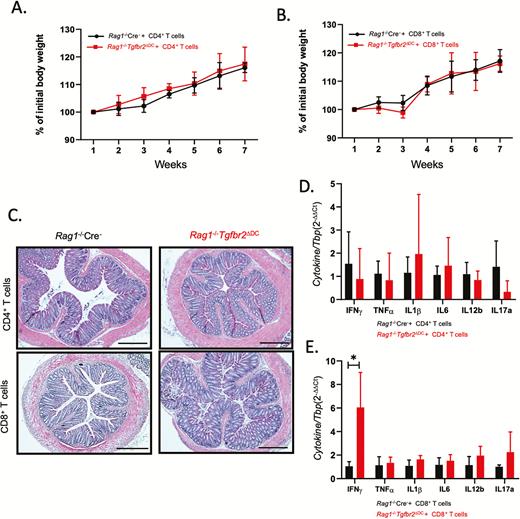 Both CD4+ and CD8+ T cells are necessary to induce colitis in Rag1-/-Tgfbr2ΔDC mice. Colitis did not develop in Rag1-/-Tgfbr2ΔDC mice adoptively transferred with CD4+ or CD8+ T cells alone (n = 5–8 mice per genotype). A–B, Weight loss curves for mice transferred with CD4+ or CD8+ T cells. C, H&E staining of colonic segments representative of each experimental group. D–E, qPCR analysis of colonic mucosal expression of selected cytokines in mice transferred with CD4+ or CD8+ T cells. Data were analyzed using the 2-∆∆CT method with TBP used as a housekeeping gene. The unpaired 2-tailed t test was used to analyze the data. *P < 0.05.