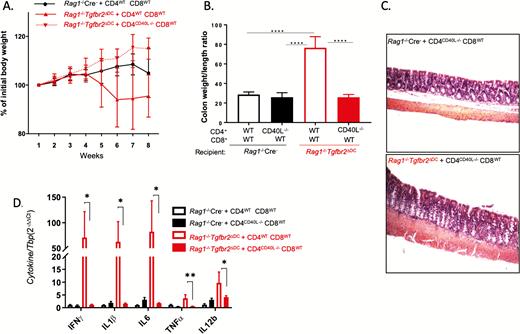 CD40L expression on CD4 cells is necessary for CD3+ T-cell-mediated colitis. Rag1-/- Cre- and Rag1-/-Tgfbr2ΔDC mice (4–7 mice per genotype) were adoptively transferred with a 1:1 mix of CD4WT and CD8WT cells (5×105 each) or CD4CD40L-/- and CD8WT cells. The mice were followed up for 8 weeks and killed. A, Weight loss curves. B, Colonic hyperplasia expressed as the weight-to-length ratio. One-way ANOVA with a Bonferroni multiple-comparisons post hoc test was used for data analysis. ****P < 0.0001 for post hoc test. C, Representative H&E images of colonic segments of Rag1-/-Cre- and Rag1-/-Tgfbr2ΔDC mice adoptively transferred with CD4CD40L-/- and CD8WT cells demonstrating similar lack of colonic pathology. D, qPCR analysis of colonic mucosal expression of selected cytokines in the 4 experimental groups. Data were analyzed using the 2-∆∆CT method with TBP used as a housekeeping gene. The unpaired 2-tailed t test was used to analyze the data. *P < 0.05; **P < 0.005.