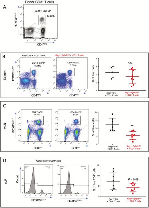 Decrease of CD4+ FOXP3+ Tregs is associated with colitis in adoptively transferred Rag1-/-Tgfbr2ΔDC mice. FoxP3IRES-GFP mice were used as donors for the CD3+ T-cell adoptive transfer into Rag1-/- Cre- and Rag1-/-Tgfbr2ΔDC mice (n = 7–8 mice per genotype). A, Flow cytometry analysis of the initial number of CD4+FOXP3+ Tregs among the donor CD3+ T cells before adoptive transfer. Single-cell suspensions were prepared from spleens, MLNs, and cLP, stained, and analyzed by flow cytometry. B, Representative cytograms and a summary graph of CD4+ FOXP3+ Tregs from the spleens of recipient mice 7 weeks after adoptive transfer. C, Representative cytograms and the summary graph of CD4+ FOXP3+ Tregs from the MLNs of recipient mice. D, Representative histograms and a summary graph of CD4+ FOXP3+ Tregs from the cLP of recipient mice. The unpaired t test was used to analyze data. **P < 0.005.