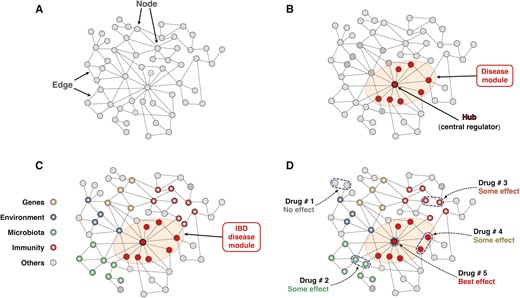 Schematic representation of the basic components and function of a biological network. A, The network is represented by a graph where nodes are connected to other nodes by edges. The communication between 2 or more nodes can be direct or indirect, and it is established by the edges in a unidirectional or bidirectional way. B, Within a biological network, densely connected nodes form modules that can be functional modules that control key functions of the network or disease modules that regulate and control a disease condition. Hubs are the central regulators of a module or a network and tend to be centrally located within a module. C, Schematic representation of the IBD interactome. The biological network underlying IBD pathobiology is composed of the genome, exposome, microbiome, immunome, and any other ome involved in its causality or mechanism. The centrally located module represents the IBD disease module that controls the overall function of the IBD interactome. D, Distinct therapeutic interventions on the IBD interactome and anticipated levels of effectiveness. Drug 1 acts on peripherally located and pathogenically less relevant nodes and will have an inconsequential effect on the interactome. Drug 2 acts on microbiome-related nodes and may exert some beneficial effect, like Drug 3, which acts on immunome-related nodes. Drug 4 acts on some nodes within the disease module and may also provide some beneficial effects. Drug 5 will have the best therapeutic effect because it specifically targets the hub of the disease module, which controls the IBD interactome.