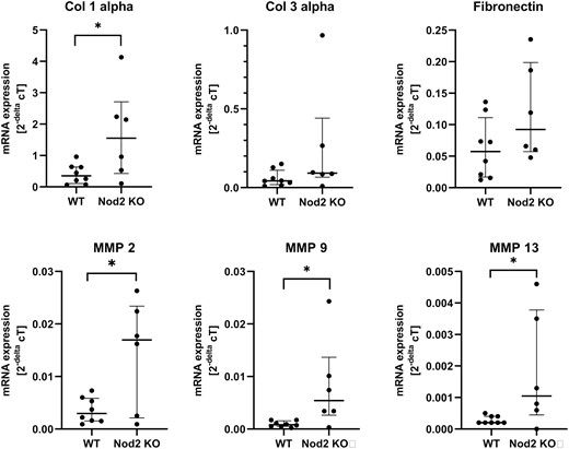 Results of the mRNA expression by quantitative real-time PCR and predesigned TaqMan gene expression assays (see Supplementary Table 1), which were normalized to the housekeeping gene GAPDH. Expression levels of the genes of interest are given as 2-ΔcT. Surprisingly but constantly, expression was very homogeneous in the WT mice compared with a rather wide-ranging expression in the Nod2 KO mice. Each dot represents the mean of 1 mouse, which was run in triplicate. The middle bar represents the median of the group + IQR. *P < 0.05 between groups. Col 1 indicates collagen 1; Col 3, collagen 3; IQR, interquartile ratio.