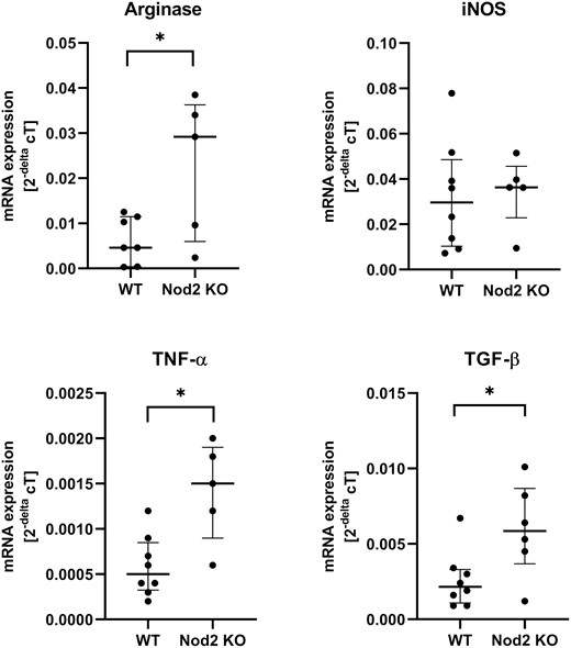 mRNA expression for key cytokines transforming growth factor-ß and tumor necrosis factor-α for wound healing and arginase I and iNOS are displayed. Each dot represents the result of 1 mouse, run in triplicate; the bar represents the median + IQR for each group. *P < 0.05 between groups, n = 5 to 8 per group. IQR indicates the interquartile ratio.