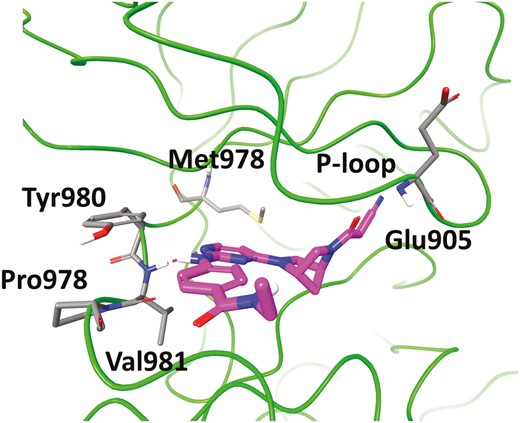Cocrystal structure of 16 (magenta) with TYK2 (green, PDB ID: 6DBK). The key residues at the binding site are shown in stick representation.