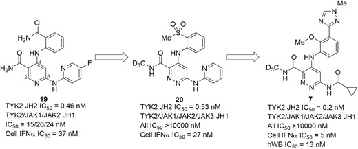 Evolution of compounds from lead 19 to a TYK2-selective allosteric inhibitor BMS986165 (7).