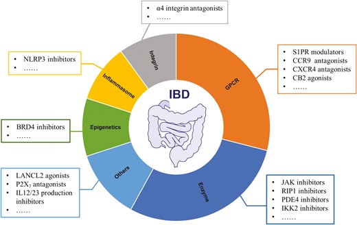 Summary on representative drug targets explored towards drug discovery and development of IBD therapeutics.