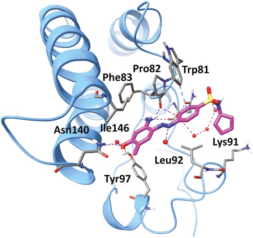 The cocrystal structure of ZL0454 (magenta) in complex with human BRD4 BD1 (blue). Key residues at the binding site are shown in stick representation. Water molecules are shown as red spheres. Hydrogen bonds are shown as purple dotted lines and π-cation is shown as blue dotted lines.