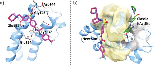 A, Ribbon representation of cocrystal structure (blue, PDB ID: 6U0D) of BRD4 BD1 in complex with ZL0590 (magenta). Key residues at binding site are shown in stick representation. Water molecules are shown as red spheres. Hydrogen bonds are shown as purple dotted lines, and salt bridge in blue dotted line. B, Overlay of cocrystal structures BRD4 BD1 (blue) in complex with ZL0590 (magenta) and MS436 (green, PBD ID: 4NUD). The traditional KAc pocket is shown in gray surface representation and the new binding site of ZL0590 is shown in yellow.