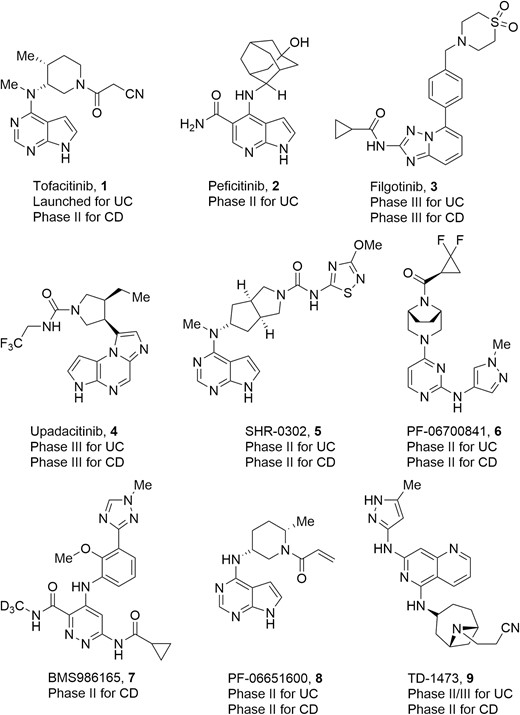 Representative drugs and drug candidates targeting JAKs for IBD therapies.
