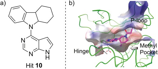 A, The chemical structure of hit 10 as the lead compound. B, The cocrystal structure of tofacitinib (magenta) with JAK3 (green, PDB ID: 3LXK).