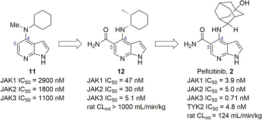 Evolution of compound structures from hit 11 to peficitinib (2).