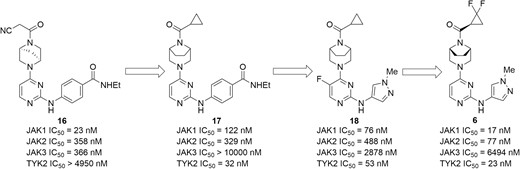 Evolution of compounds from lead 16 to a dual JAK1/TYK2 inhibitor PF-06700841 (6).