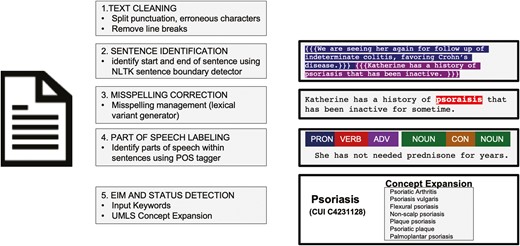 Document preprocessing for natural language processing analysis. Prior to analysis by the extraintestinal manifestation (EIM) natural language processing pipeline, documents were preprocessed to correct common errors and label document structure. First, text was cleaned with removal of erroneous punctuations and symbols, standardization of core punctuation, and removal of carriage returns and line breaks. Individual sentences were identified using a sentence identification tool in the Natural Language Tool Kit (NLTK) package, using punctuation, characters, and other features to identify individual sentences. A part-of-speech (POS) tagger was used to identify components of sentences as nouns, verbs, adverbs, contractions, etc. for aiding in understanding relationships and context. EIM and status concept keywords were expanded upon with an example of psoriasis shown. UMLS, Unified Medical Language System.