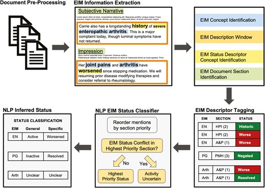 Natural language processing (NLP) document analysis pipeline to detect extraintestinal manifestation (EIM) status. Outpatient gastroenterology notes were extracted from the electronic medical record for identified patients. Document preprocessing includes steps of removal of extraneous characters, tokenization of phases, and part-of-speech labeling. EIM information extraction includes EIM concept identification, followed by an EIM description window. Within the description window, EIM status categories were identified using Unified Medical Language System–based concept expansion. The document section in which the EIM was identified using a SECtag approach. All EIM mentions within a document are then described by the document section it was located in and its status for that mention. The document-level EIM status classifier then relies on a section-priority approach to infer the overall intended EIM status at the point in time the document was written.
