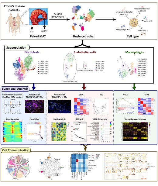 Graphical Abstract
