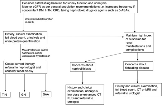 A proposed clinical strategy to consider the renal manifestations and complications related to IBD. Abbreviations: CKD, chronic kidney disease; CT KUB, computed tomography of kidneys, ureters and bladder; DM, diabetes mellitus; eGFR, estimated glomerular filtration rate; GN, glomerulonephritis, HTN, hypertension; MAU, microalbuminuria; SAA, secondary amyloidosis; TIN, tubulointerstitial nephritis