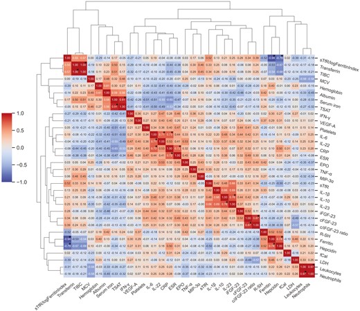 Hierarchically clustered heatmap detailing correlations between different biochemical parameters in patients with active inflammatory bowel disease. The asterisk highlights statistically significant correlations after adjusting for multiple testing. cFGF-23, c-terminal fibroblast growth factor 23; CRP, C-reactive protein; EPO, erythropoietin; ESR, erythrocyte sedimentation rate; fCal, fecal calprotectin; iFGF-23, intact fibroblast growth factor 23; IFN-γ, interferon γ; IL, interleukin; LDH, lactate dehydrogenase; MCV, mean corpuscular volume; MIP-3α, macrophage inflammatory protein 3α; NA, too few data points for statistical testing; sTfR, soluble transferrin receptor; TIBC, total iron-binding capacity; TNFα, tumor necrosis factor α; TSAT, transferrin saturation; VEGF-A, vascular endothelial growth factor A; WBC, white blood cell count.