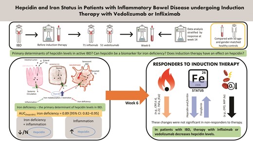 Graphical Abstract
