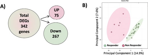 A, A diagrammatic representation of the direction of regulation of the differentially expressed genes (DEGs) when partial responders are considered as responders. B, A principal component analysis score plot performed on the 342 DEGs demonstrating clustering of the responders vs nonresponders. Dots represent patients and are colored according to the subject cohort. Ellipses represent 95% confidence.