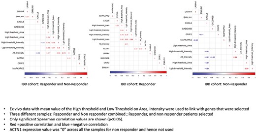Correlation between ex vivo probe confocal laser endomicroscopy findings and genes. Ex vivo data with mean value of the high threshold and low threshold on area intensity were used to link with selected genes. Three different samples, responder and nonresponder combined, responder, and nonresponder, were selected. Only significant Spearman correlation values are shown (P < .05). Red = positive correlation; blue = negative correlation. The ACTN1 expression value was 0 across all the samples for nonresponder and hence was not used. IBD, inflammatory bowel disease.