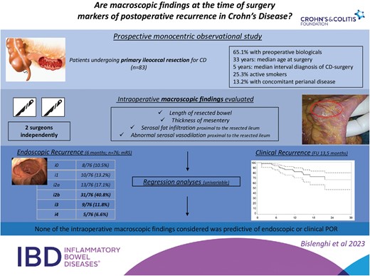 Graphical Abstract