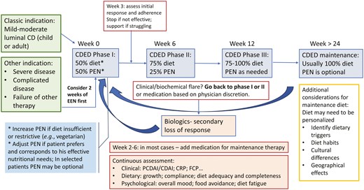 Navigating CDED: an algorithm for implementing and monitoring CDED in Crohn’s disease management.