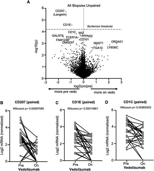 Vedolizumab decreases dendritic cell gene expression in intestinal mucosa. Messenger RNA (mRNA) was sequenced from unfractionated colonoscopic biopsies obtained from inflammatory bowel disease patients before and/or during vedolizumab therapy for inflammatory bowel disease, and the differential expression of genes based on vedolizumab exposure status is shown as a volcano plot (A). For subjects from whom biopsies were obtained both before and during vedolizumab use, paired expression of CD207 (B), CD1E (C), or CD1C (D) at the 2 time points is compared by Wilcoxon signed rank test. Vedo, vedolizumab.