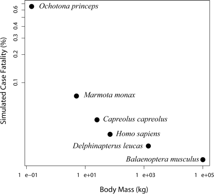 Case fatality for six mammalian species in 1000 simulated tumors.