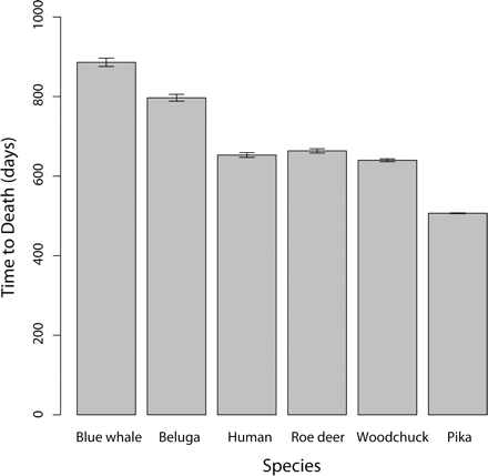 Time for a vascularized tumor to reach lethal mass from an initial mass of 0.1 g for six mammalian species in 1000 simulated tumors. Error bars are ±1 SEM.