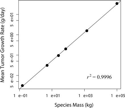 Mean tumor doubling times plotted against mass of six mammalian species in 1000 simulated tumors that reached lethal mass. SEM are smaller than the diameter of the marker for each species. The line represents a least-squares regression with parameters 0.69473 (slope) and −0.97095 (intercept).