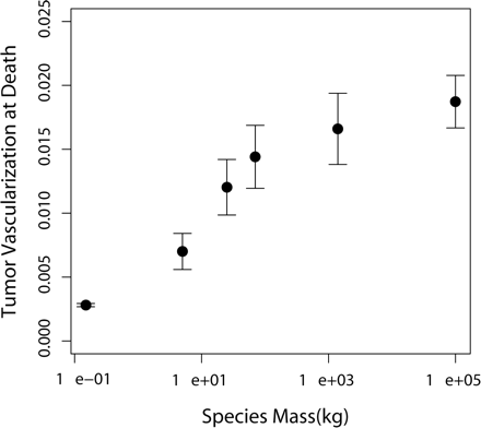 Mean vascularization of lethal tumors plotted against mass of the six mammalian species listed in Table 2, in 1000 simulated tumors. Error bars represent SEM.