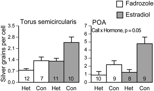 Effects of estradiol on auditory responses to mating calls. In the torus semicircularis, both estradiol and hearing mating calls cause an increase in egr-1 expression. In the preoptic area, estradiol only affects egr-1 expression in the presence of conspecific mating calls. Con, conspecific whine-chuck mating call; Het, heterospecific (Physalaemus enesfae) whine. Modified from Chakraborty and Burmeister (2015).