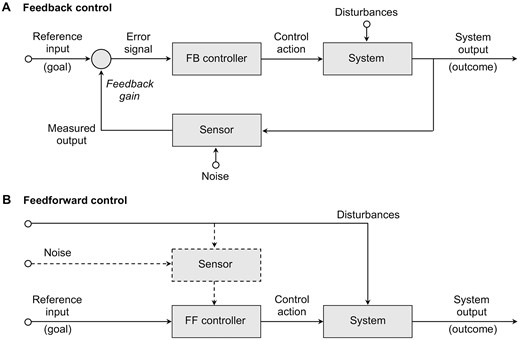 Schematic representation of (A) a feedback or closed-loop control system and (B) a feedforward or open-loop control system. Feedforward controllers may employ information about past and present disturbances (dashed box and arrows) to predict future states of the system and determine the appropriate control actions. FB, feedback; FF, feedforward.