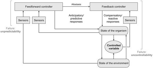 An idealized biological control system with both feedback and feedforward components. For simplicity, the figure does not show reference inputs, disturbances, or sensor noise (see Fig. 1 for details). The controlled fitness-critical variable (in boldface) may be a joint function of the organism and environment. The feedback controller enacts compensatory/reactive responses to challenges that produce discrepancies between the goal (reference input) and the measured state of the variable. The feedforward controller enacts anticipatory/predictive responses to challenges; anticipatory responses that change the reference input of the feedback controller represent instances of allostasis. Note that the control system may involve complex cascades and nested control loops (not shown). Stress occurs when the control system detects a failure to keep the fitness-critical variable within the target range (uncontrollability). Unpredictability refers to failures of the feedforward component to anticipate a challenge and/or respond appropriately; such failures may or may not lead to stress, depending on whether they ultimately result in a failure to control the fitness-critical variable.