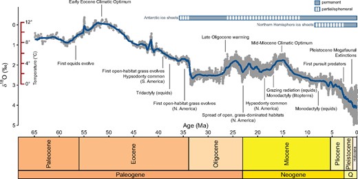 Global temperature through time, with significant biotic and abiotic events highlighted. Temperature, climatic event, and ice sheet data from Zachos et al. (2001); equid data from Bai et al. (2018), MacFadden and Hulbert (1988), and Janis (2007), with equid and litoptern data from MacFadden (1994); grassland and hypsodonty data from Strömberg (2005, 2011); pursuit predator data from Janis and Wilhelm (1993). Ages indicated by annotations are approximate, and in many cases (e.g., the spread of grasslands) are ±several million years. Note that oxygen isotope to degrees Celsius relationships are calculated for an ice-free ocean, so temperature estimates are only valid until approximately 35 Ma (Zachos et al. 2001).