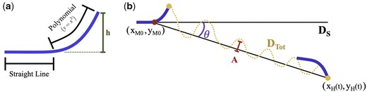 （a） 游泳运动员的几何形状由一个直线段和一个弯曲部分组成，由三次多项式给出。游泳者的高度h是弯曲部分离开直线段的高度。它在所有模拟中保持一致。（b） 偏离水平线的角轨迹（θ）的定义，从游泳者头部和沿水平线的固定点（游泳者身体直线部分的最后一点）开始测量，水平距离游泳（DS）和游泳者移动的总线性距离（DTot）。（b）中的游泳者对应于（Rein，f，p）=（270,1.25,0.25）的情况。图改编自巴蒂斯塔（2020a）。
