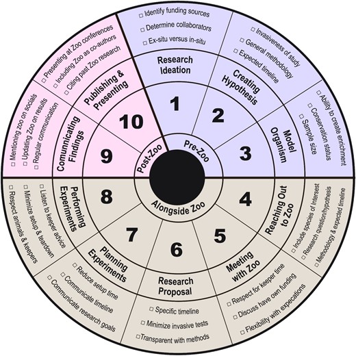 Schematic of the zoo–university collaboration process. The inner ring displays the three phases of research collaborations with zoos. The middle rings display the steps within each phase. The outer ring displays a checklist of tasks that were most requested by zoo staff in our survey.