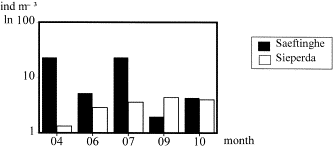 The total density of nekton species on a logarithmic scale in the mature and the developing marsh.