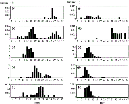Length–frequency distribution of Pomatoschistus microps in Saeftinghe (a) and Sieperda (b). Sampling months are labelled by numbers such as April (04), June (06), July (07), September (09) and October (10).