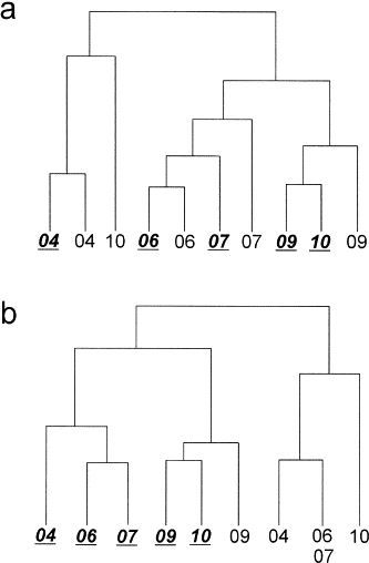 Cluster dendogram using density (a) and biomass (b) data. Sieperda samples are labelled as bold underlined numbers.