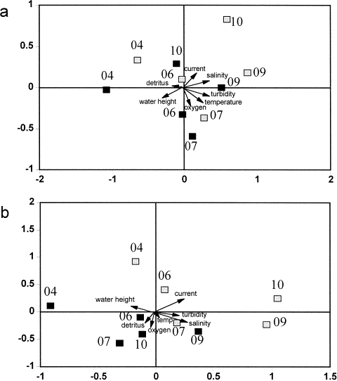 CCA plot using density (a) and biomass (b) data. Samples of Saeftinghe are labelled with black rectangles while those of Sieperda are indicated by grey colour.