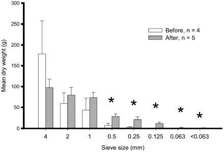 Mean dry weights of sediment size classes in the 0–3 cm horizon of cores taken before and 1 h after fishing. Significant differences between before and after dredging for each size fraction (p<0.05, ANOVA and a posteriori Tukey–Kramer multiple comparisons, log10-transformed data) are indicated with an asterisk, error bars = +1 SD.