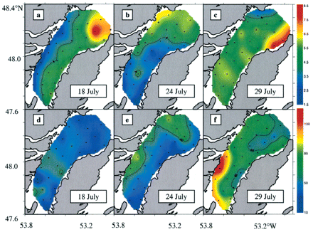 Environmental conditions in the surface layer of Trinity Bay during three subsequent surveys in July 2000 (spatial interpolation on a 1×1 km grid by kriging). (a–c) Average temperature (°C; 5–30 m); (d–f) average microzooplankton concentration (particles l−1; 0–40 m).